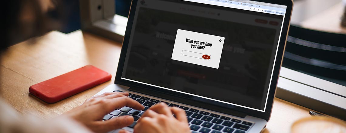 Person using a laptop to use the search on cs.bank