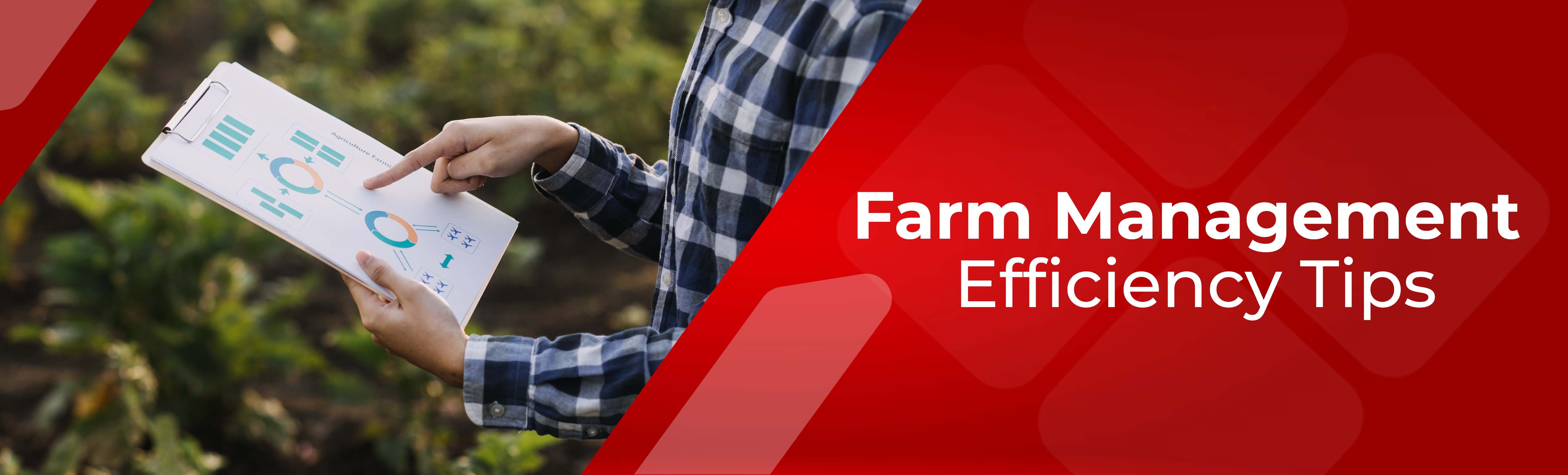 Farm Management Efficiency Tips