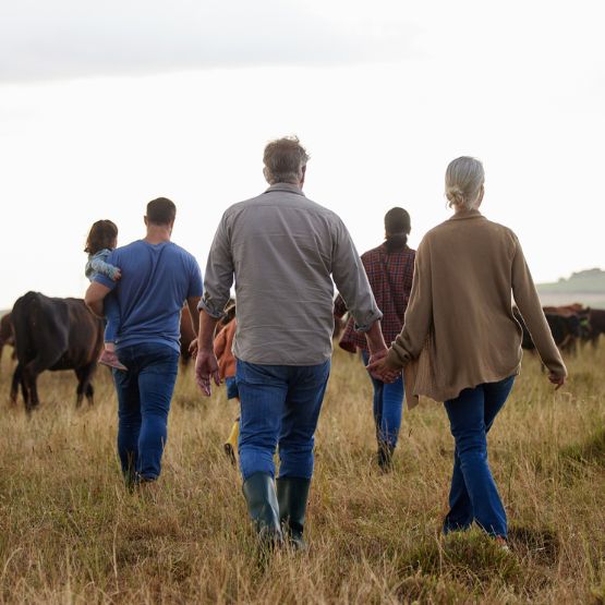 Ag loans - holding hands