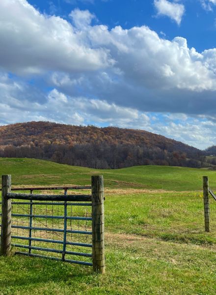 Ag loans - land image